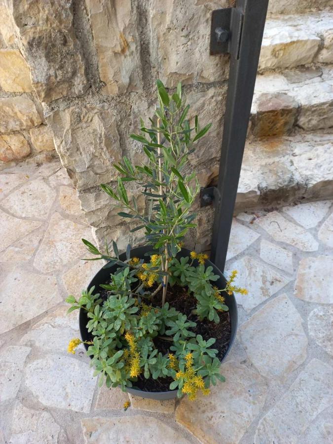 Antigona Old Town Apartment