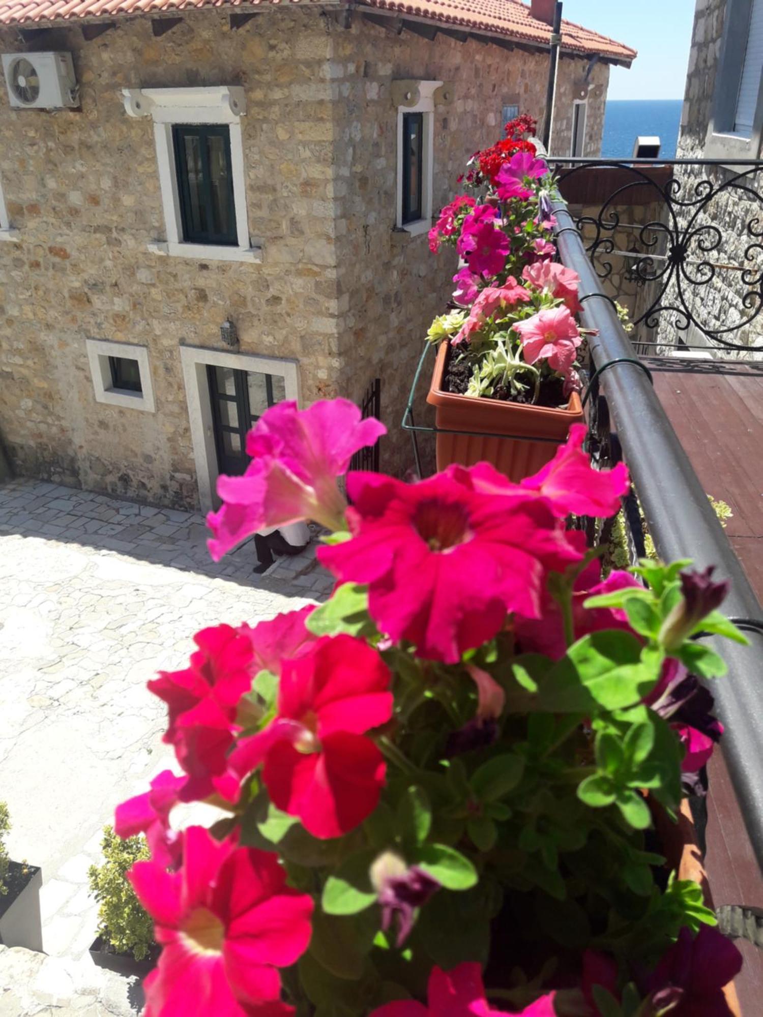 Antigona Old Town Apartment *